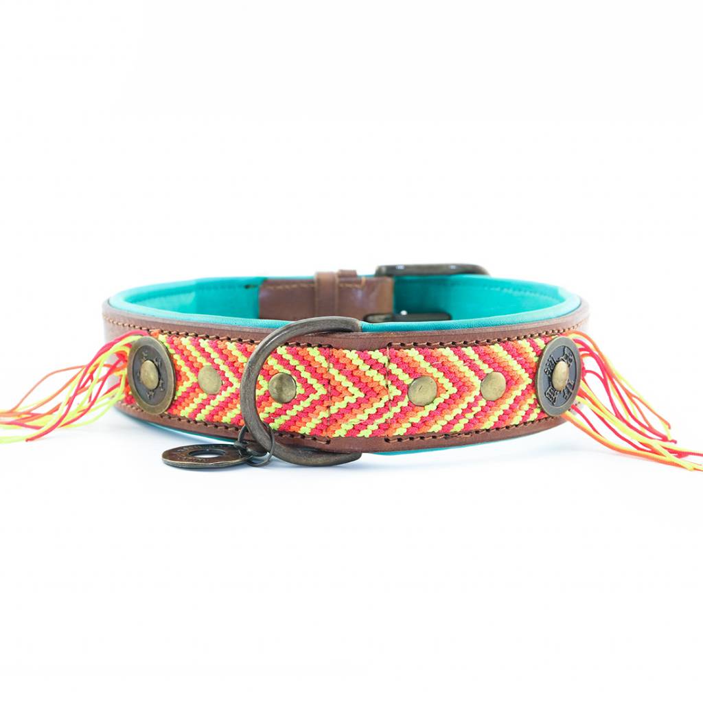 gypsy dog collar