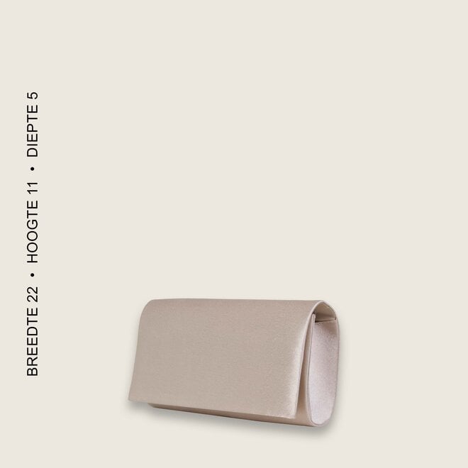 Clutch bag  BULAGGI (champagnee)