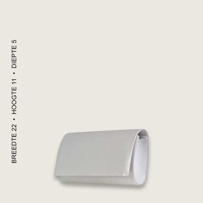 Clutch bag  BULAGGI (bone)