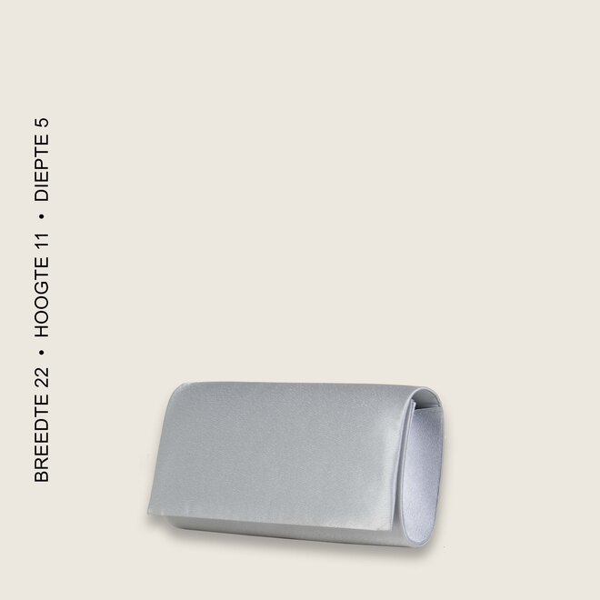 Clutch bag BULAGGI (silver)