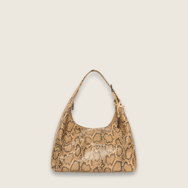 Snake hobo ( Biscuit )