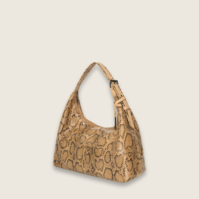 Snake hobo ( Biscuit )