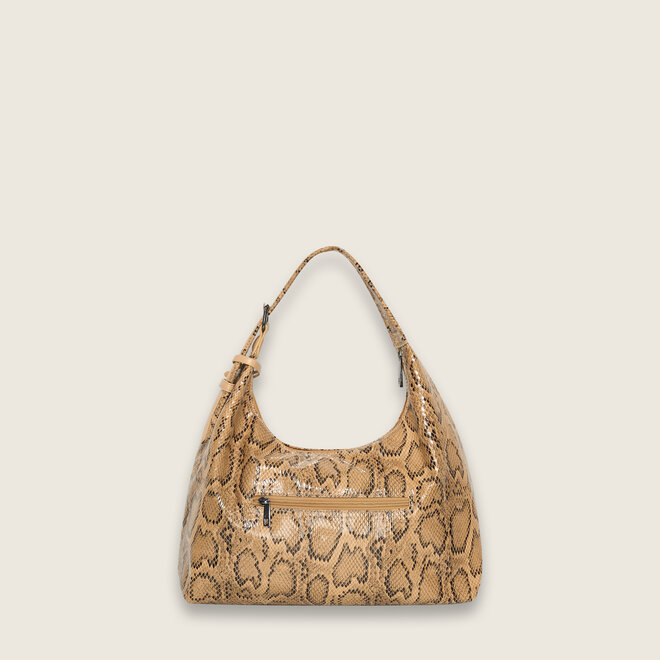 Snake hobo ( Biscuit )