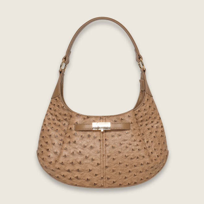 ostrich hobo ( Camel )