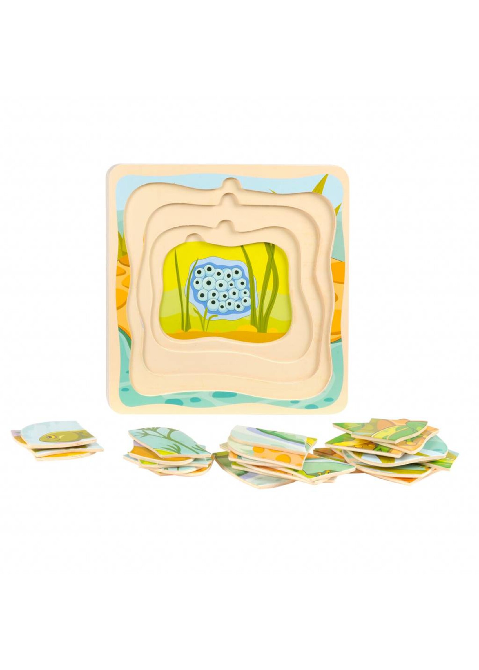 Thimbletoys Lagen Puzzel Cyclus - Kikker