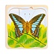 Thimbletoys Lagen Puzzel Cyclus - Vlinder Thimbletoys Lagen Puzzel Cyclus - Vlinder
