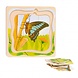 Thimbletoys Lagen Puzzel Cyclus - Vlinder Thimbletoys Lagen Puzzel Cyclus - Vlinder