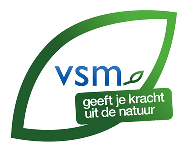 VSM