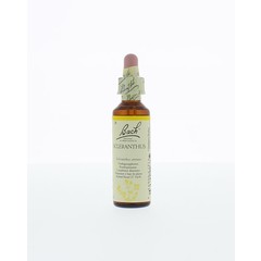 Bach Scleranthus/hardbloem (20 ml)