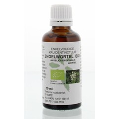 Natura Sanat Angelica officinalis/engelwortel tinctuur bio (50 ml)