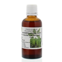 Equisetum arvense / akkerpaardestaart tinctuur (50 Milliliter)