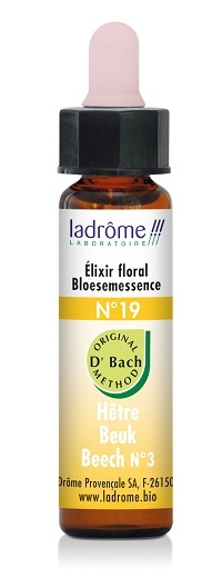 Ladrome Ladrome Beech/beuk 19 bio (10 ml)