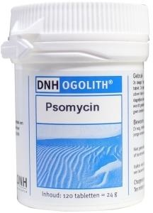 DNH Psomycin ogolith (140 tabletten)