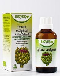 Biover Cynara scolymus tinctuur bio (50 Milliliter) Biover Cynara scolymus tinctuur bio (50 Milliliter)