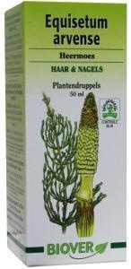 Biover Biover Equisetum arvense tinctuur bio (50 ml)