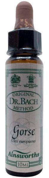 Ainsworths Ainsworths Gorse Bach (10 ml)