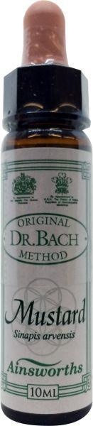 Ainsworths Ainsworths Mustard Bach (10 ml)