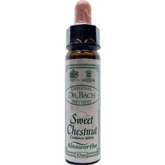 Ainsworths Sweet chestnut Bach (10 ml)