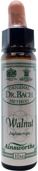 Ainsworths Ainsworths Walnut Bach (10 ml)