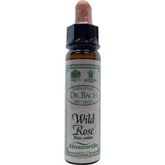 Ainsworths Wild rose Bach (10 ml)