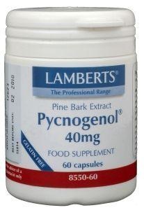 Lamberts Pijnboombast extract (Pycnogenol 40mg) (60 Vegetarische capsules) Lamberts Pijnboombast extract (Pycnogenol 40mg) (60 Vegetarische capsules)