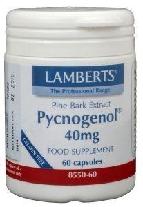 Lamberts Lamberts Pijnboombast extract (Pycnogenol 40mg) (60 vega caps)