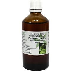 Natura Sanat Angelica officinalis/engelwortel tinctuur bio (100 ml)