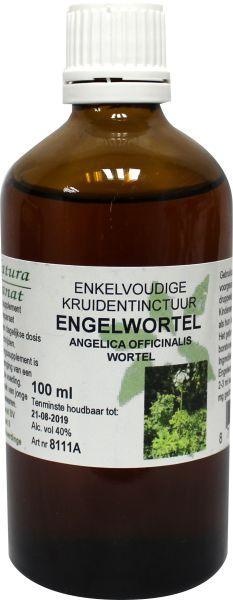 Natura Sanat Natura Sanat Angelica officinalis/engelwortel tinctuur bio (100 ml)