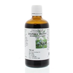 Natura Sanat Berberis vulgaris / zuurbes vrucht tinctuur (100 ml)