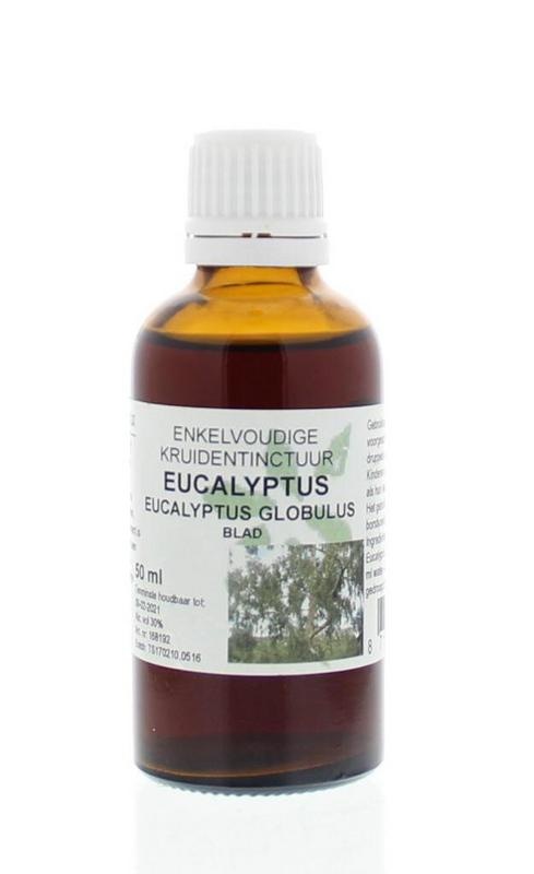 Natura Sanat Natura Sanat Eucalyptus globulus folia tinctuur (50 ml)