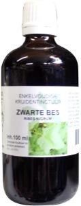 Natura Sanat Ribes nigrum / zwarte bes tinctuur bio (100 ml)