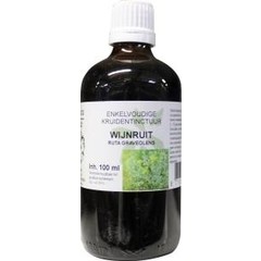 Natura Sanat Ruta graveolens herb / wijnruit tinctuur (100 ml)