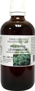 Thuja occidentalis / levensboom tinctuur