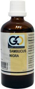 GO GO Sambucus nigra bio (100 ml)