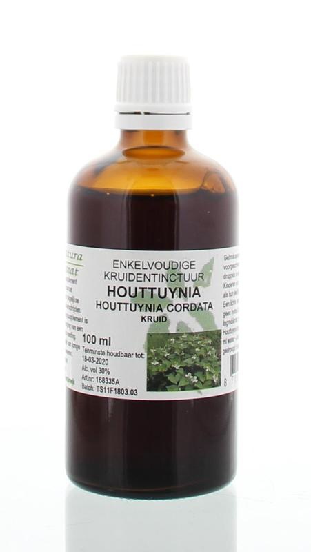 Houttuynia cordata herb tinctuur