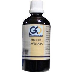 GO Corylus avellana (100 ml)