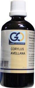 GO GO Corylus avellana (100 ml)