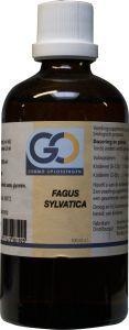 GO GO Fagus sylvatica bio (100 ml)