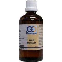 GO Pinus montana (100 ml)
