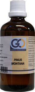 GO GO Pinus montana (100 ml)