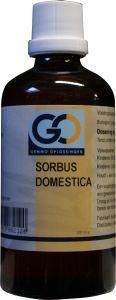 GO GO Sorbus domestica bio (100 ml)