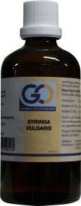 GO GO Syringa vulgaris bio (100 ml)