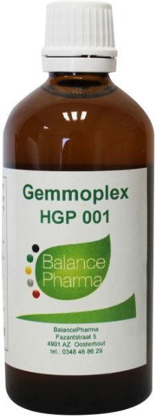 Balance Pharma Balance Pharma HGP 001 Gemmoplex nieren (100 ml)