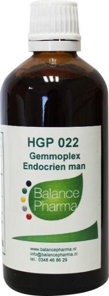 Balance Pharma Balance Pharma HGP022 Gemmoplex endocrien man (100 ml)