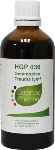 Balance Pharma Balance Pharma HGP036 Gemmoplex trauma lymf (100 ml)