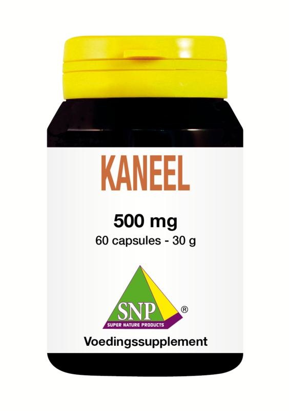 SNP SNP Kaneel Cinnamomum verum 500 mg puur (60 caps)