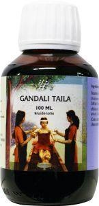 Holisan Holisan Gandali taila (100 ml)