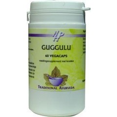 Holisan Guggulu (60 capsules)
