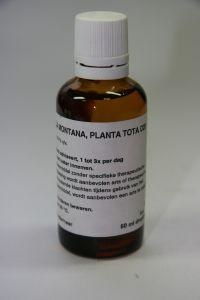 Arnica planta tota D20