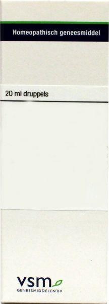 VSM VSM Antimonium crudum D12 (20 ml)